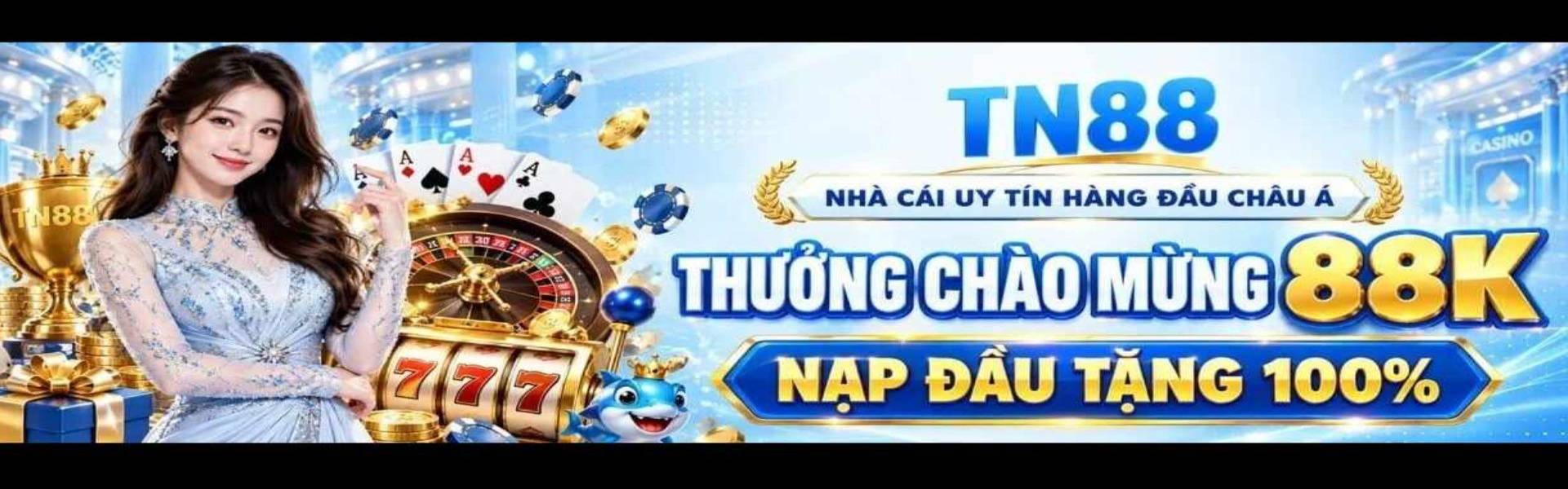 banner tn88