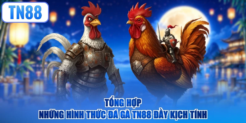 Tổng hợp những hình thức đá gà TN88 đầy kịch tính